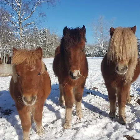 Torhaus Terra Nova * Elsterheide