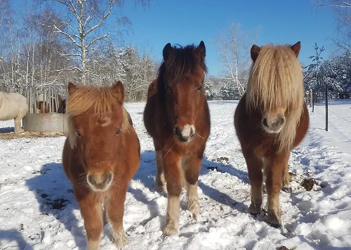 Torhaus Terra Nova * Elsterheide